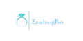 ZAMBURG.PRO cashback
